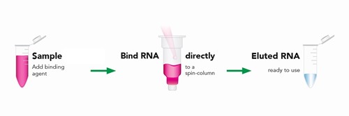 کیت استخراج RNA