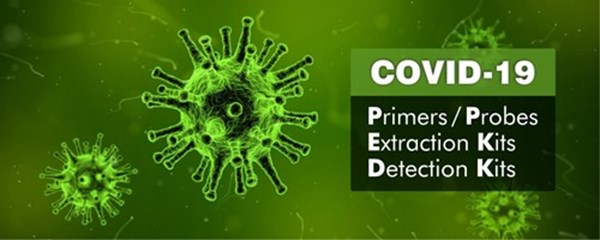 Covid real time PCR Kit