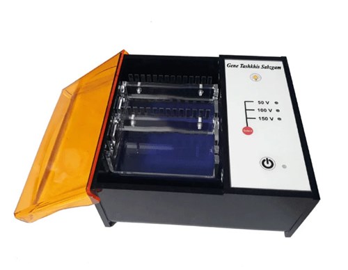 Real-Time electrophoresis